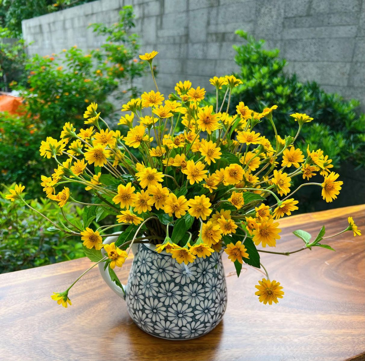 Tử vi hàng ngày - Thứ Hai 10/4/2023 của 12 cung hoàng đạo